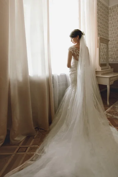 スタイリッシュなブルネットの花嫁 — ストック写真