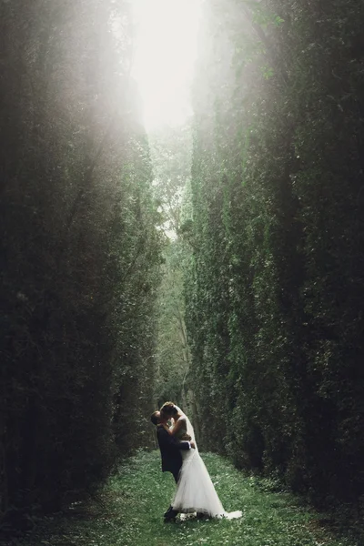 Sposa di lusso e sposo elegante — Foto Stock