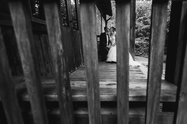 Πολυτελή νύφη και ο γαμπρός κομψό — Φωτογραφία Αρχείου