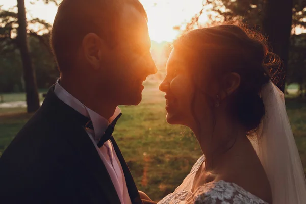 Novia feliz y elegante novio — Foto de Stock