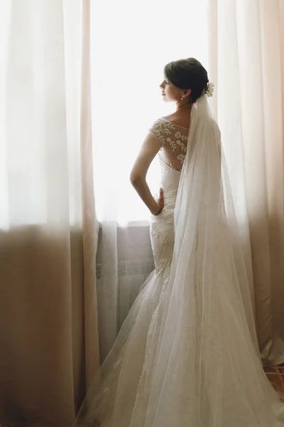Elegante sposa bruna — Foto Stock