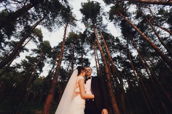 Sposa felice e sposo elegante — Foto Stock