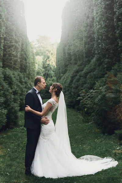 Sposa di lusso e sposo elegante — Foto Stock