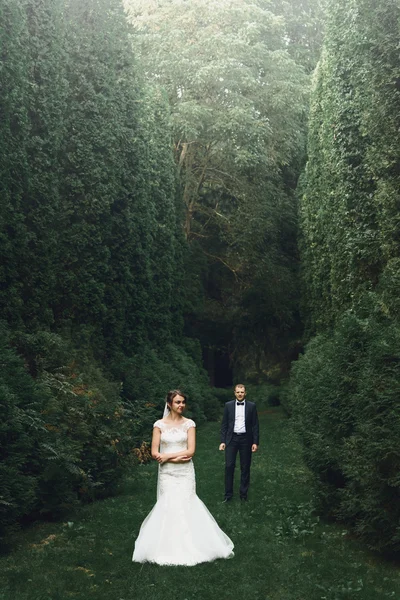 Sposa di lusso e sposo elegante — Foto Stock