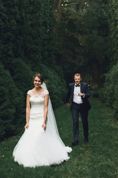 Πολυτελή νύφη και ο γαμπρός κομψό — Φωτογραφία Αρχείου