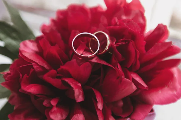 Elegante par de anéis de casamento — Fotografia de Stock