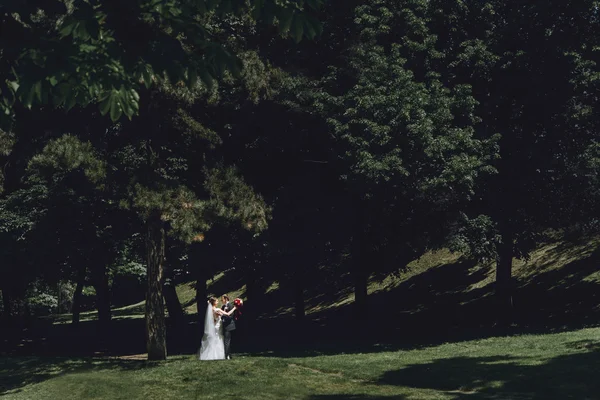 Sposa bruna e sposo elegante — Foto Stock