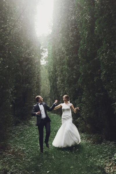 Sposa di lusso e sposo elegante — Foto Stock