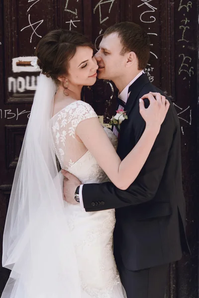 Brunette bride and elegant groom — Stock Photo, Image