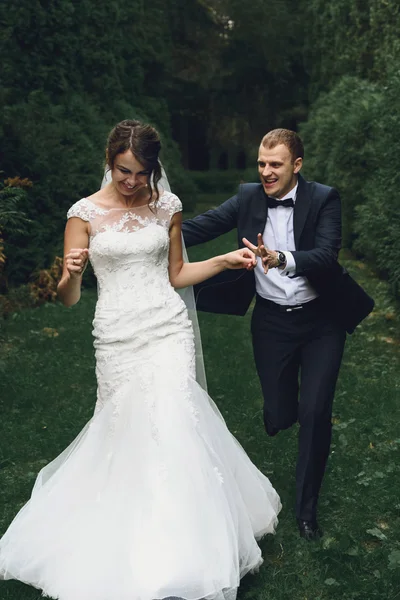 Luxury bride and stylish groom — Stock Photo, Image