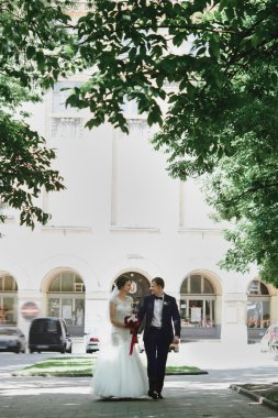 esmer gelin ve şık damat