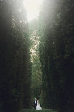 lüks gelin ve şık damat