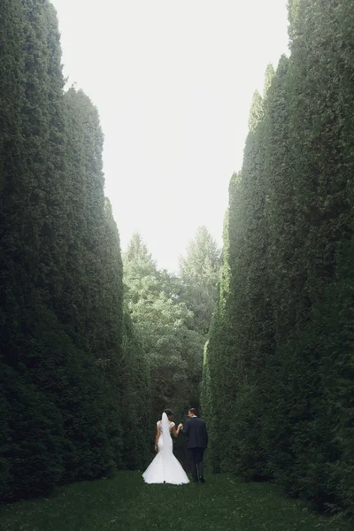 Mariée de luxe et marié élégant — Photo