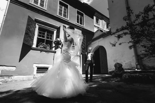 Brunette bride and elegant groom — Stock Photo, Image
