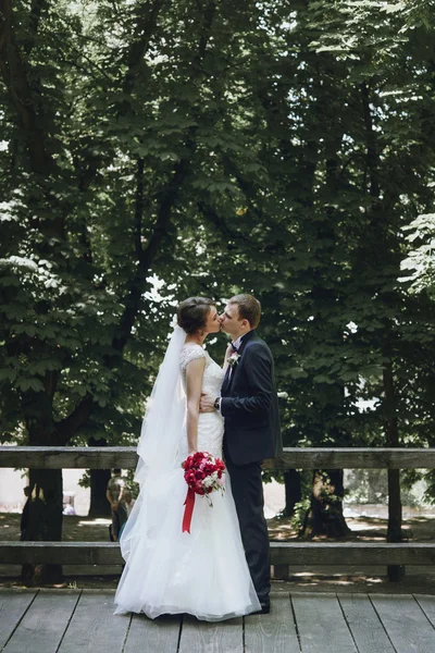 Brunett brud och eleganta brudgummen — Stockfoto