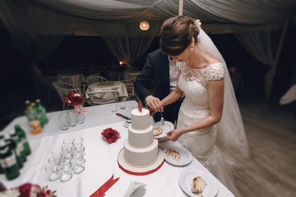 Novia y novio corte pastel de boda — Foto de Stock