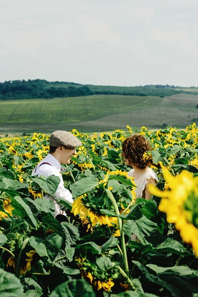 Bella sposa e sposo elegante — Foto Stock