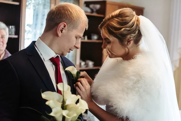 Bride putting on boutonniere on the suit — Stock Photo, Image