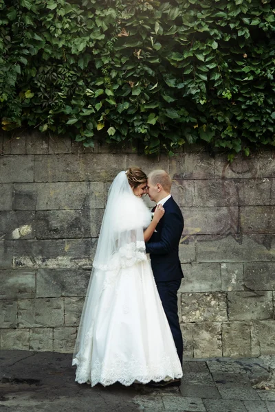 Heureux blonde mariée et beau marié — Photo