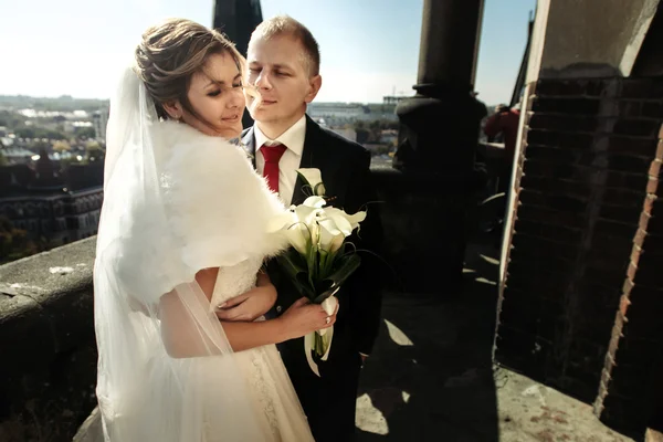 Novia hermosa feliz y elegante novio — Foto de Stock