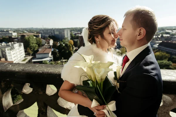 Heureux mariée magnifique et marié élégant — Photo