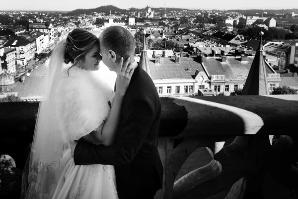 Novia feliz y elegante novio — Foto de Stock