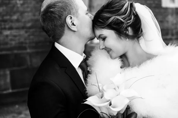 Pengantin pirang bahagia dan pengantin pria tampan — Stok Foto