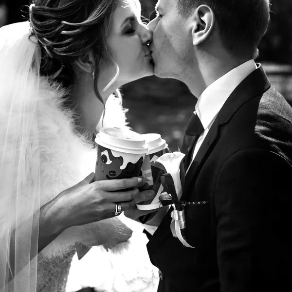 Sposa felice e sposo elegante — Foto Stock