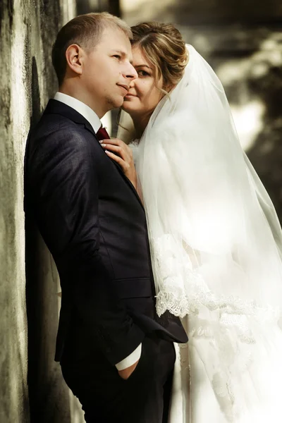 Gorgeous bride and stylish groom — Stock Photo, Image