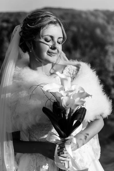 Felice sposa splendida — Foto Stock