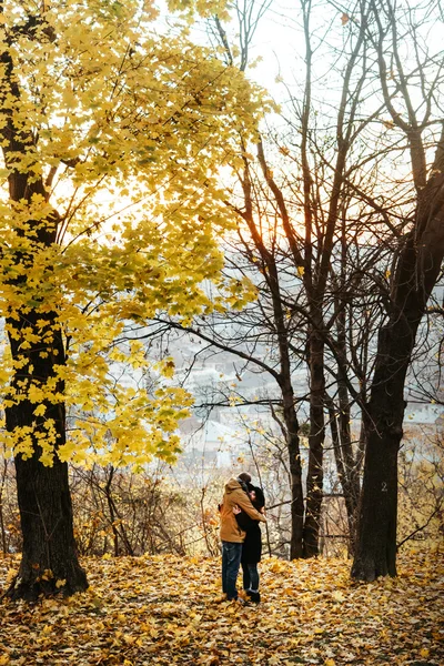 Attractive happy luxury couple — Stock Photo, Image