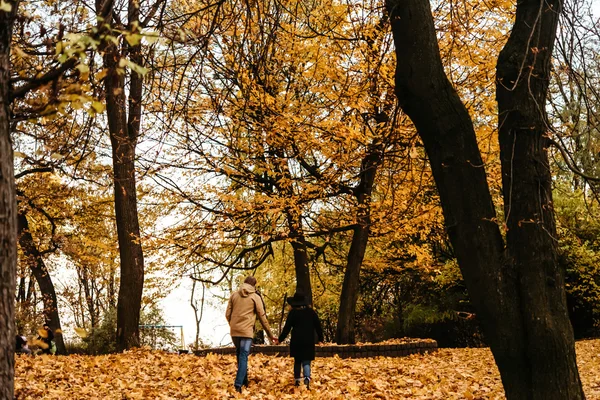 Atraktivní luxusní šťastný pár — Stock fotografie