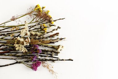 renkli çiçekler ve willow tomurcukları