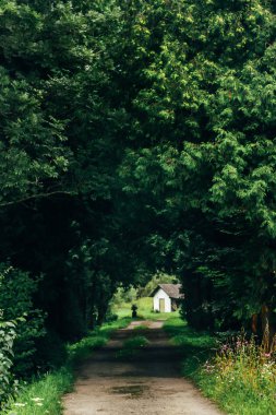 küçük beyaz kabin 