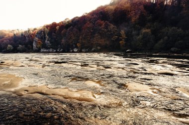 güzel sonbahar woods şaşırtıcı 