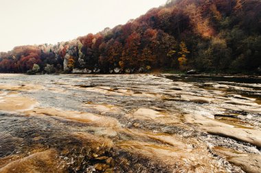 güzel sonbahar woods şaşırtıcı 