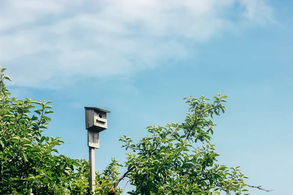 Rustic wooden birdhouse — Stock Photo, Image