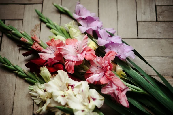 Şık renkli Kılıç çiçeği buket — Stok fotoğraf