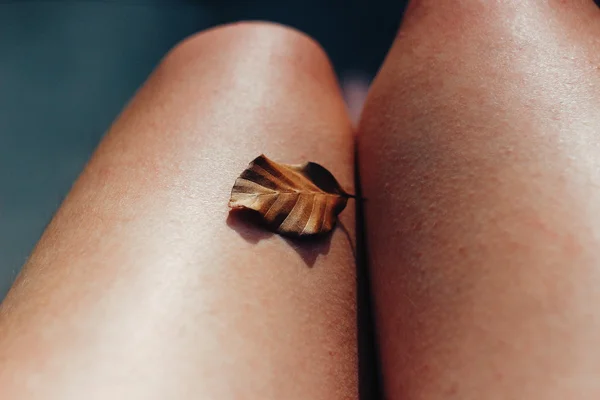 Жіночі ноги з листом — стокове фото