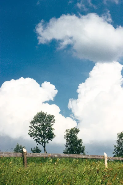 Úžasný výhled na krásné pohoří — Stock fotografie