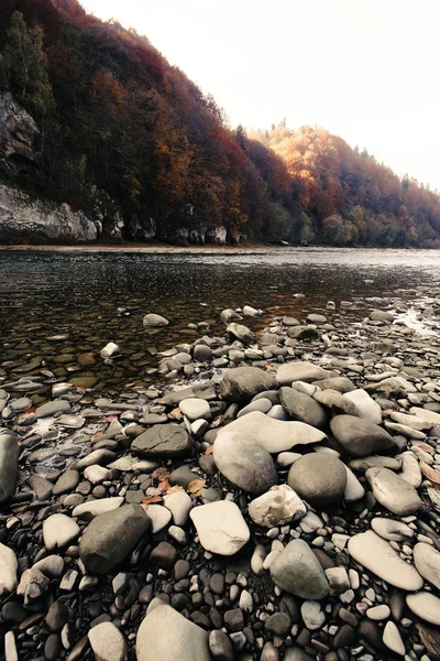 Beautiful amazing autumn woods — Stock Photo, Image