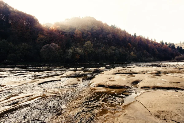 Beautiful amazing autumn woods — Stock Photo, Image