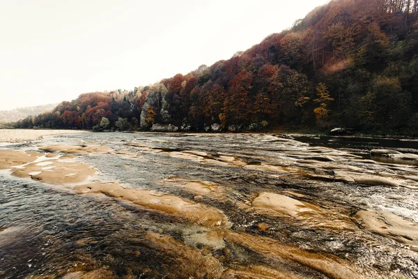 Beautiful amazing autumn woods — Stock Photo, Image