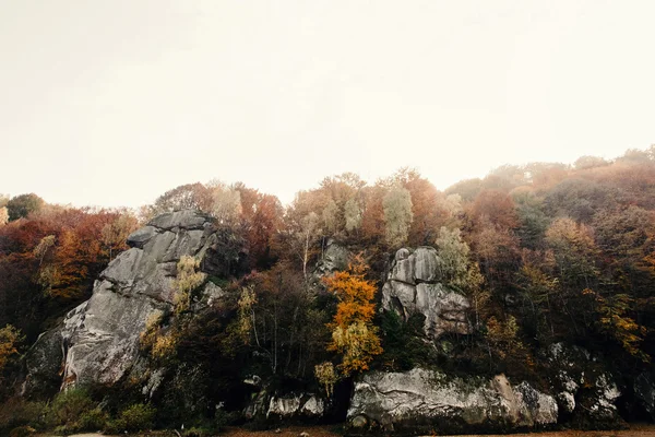 Mooie verbazende herfst bos — Stockfoto