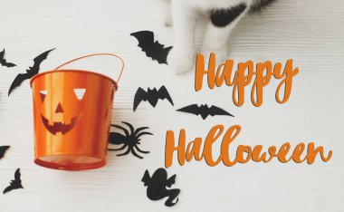 Beyaz arka planda Jack o fener şeker kovasını tutan kedi patileriyle ilgili Cadılar Bayramı mesajınız kutlu olsun. Yarasalar ve örümcek süslemeleri, üst manzara. Şeker mi şaka mı? El yazısı, mevsimlik tebrik kartı.