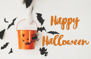 Beyaz arka planda Jack o fener şeker kovasını tutan kedi patisiyle ilgili Cadılar Bayramı mesajınız kutlu olsun. Yarasalar ve örümcek süslemeleri, üst manzara. Şeker mi şaka mı? El yazısı, mevsimlik tebrik kartı.