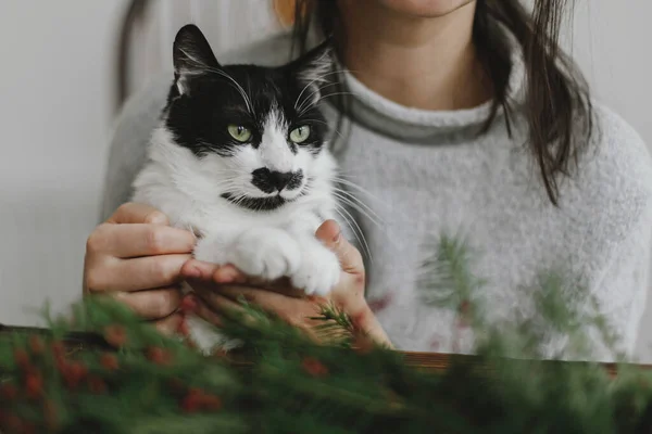 Cute Cat Helping Young Woman Making Rustic Christmas Wreath Holding — Stock Photo, Image