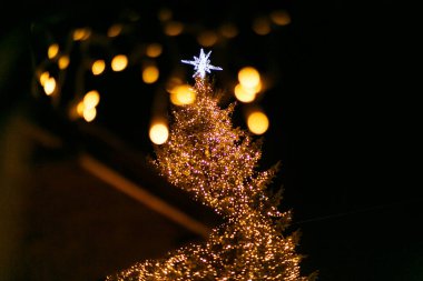 Mutlu Noeller! Altın ışıkları olan şık bir Noel ağacı ve gece vakti eski Avrupa şehir meydanında parlayan büyük bir yıldız. Tatil turizmi, şenlikli kış tatili pazarı
