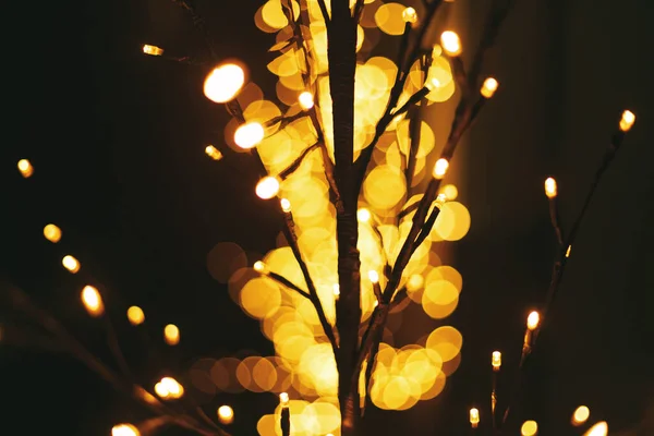 Стильное Подсвеченное Дерево Теплыми Золотыми Огнями Праздничным Декором Улицы Фасада — стоковое фото