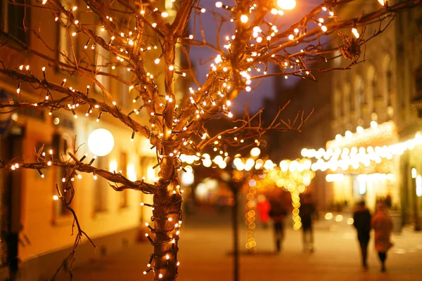 Élégant Arbre Illuminé Avec Des Lumières Dorées Chaudes Décor Festif — Photo